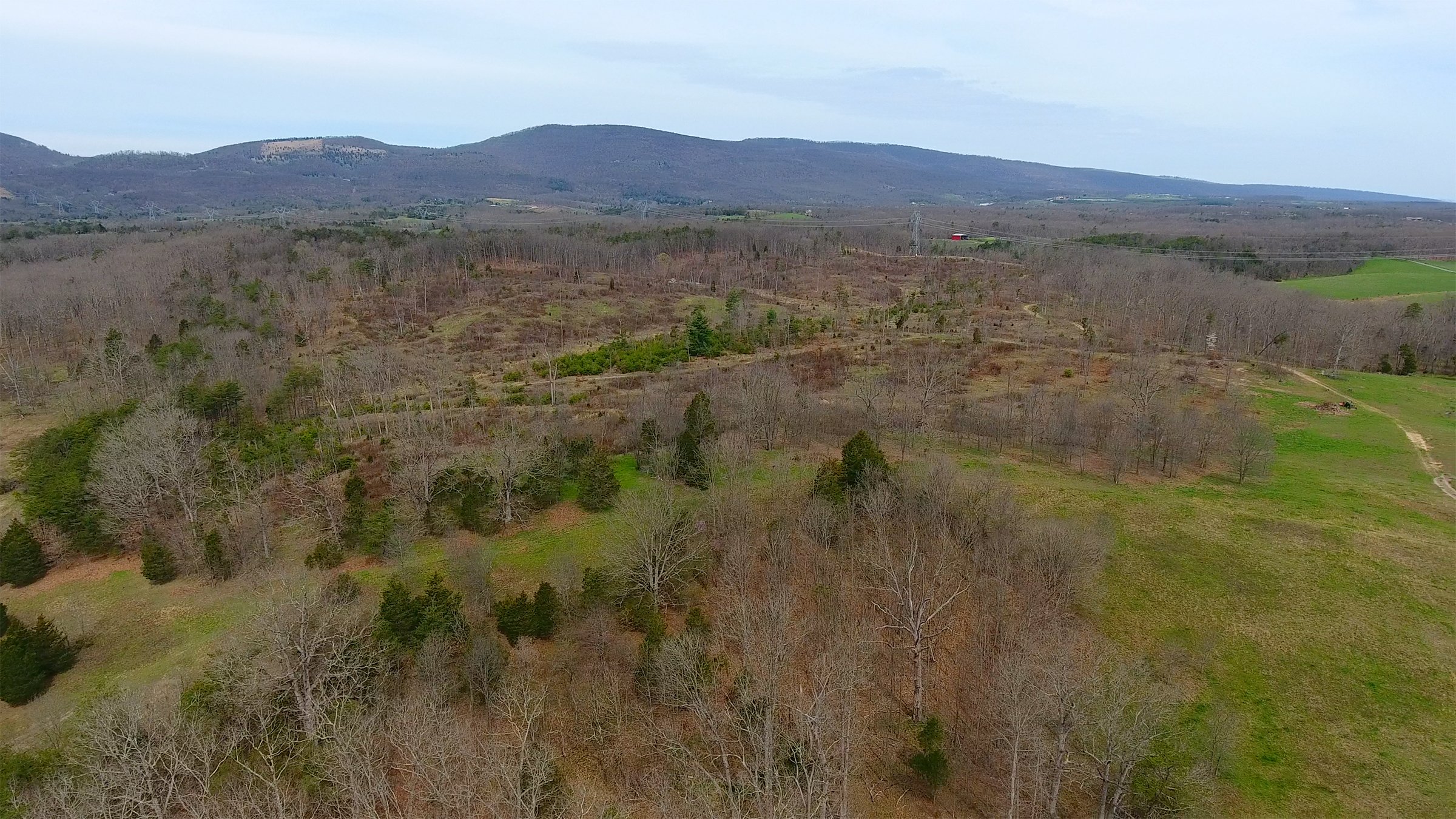 Property photo 5 - LAND AUCTION - 533+/- ACRES OFFERED IN 5 TRACTS IN HARDY COUNTY, WEST VIRGINIA